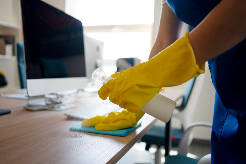 Ana House cleaning llc - How to Choose the Best Cleaning Company in South Carolina (Complete Guide)