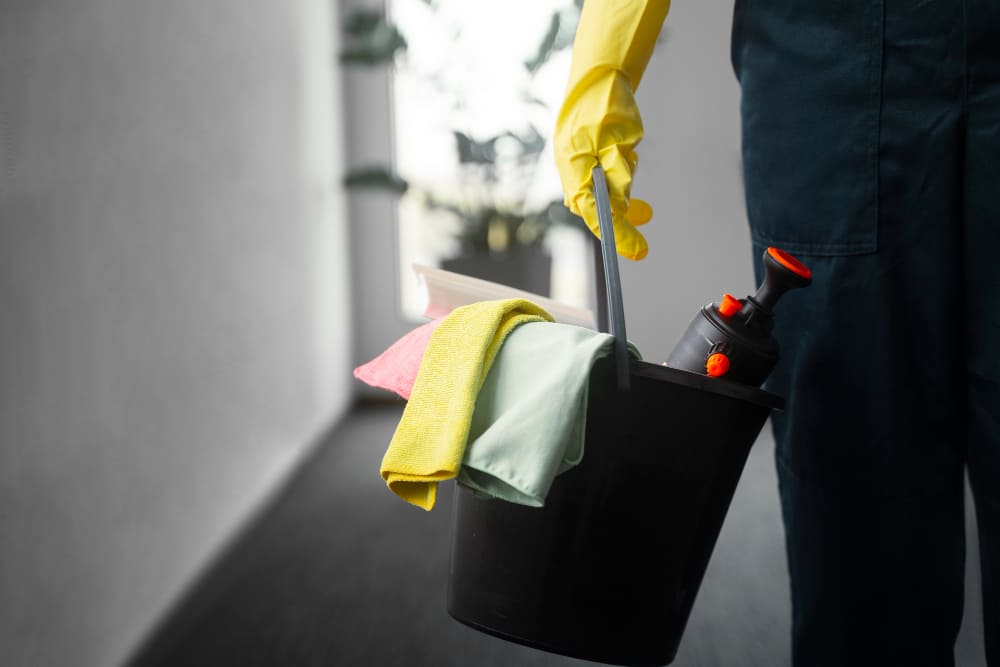 Read more about the article Apartment Cleaning Services in South Carolina