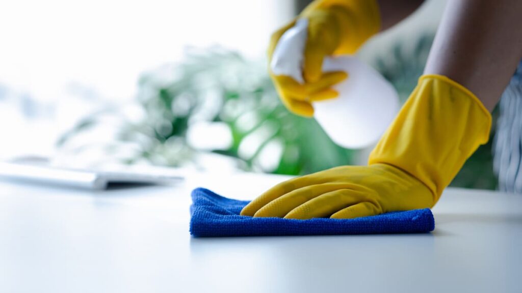 Ana House Cleaning LLC - Recurring Cleaning Services in South Carolina Weekly, Biweekly or Monthly